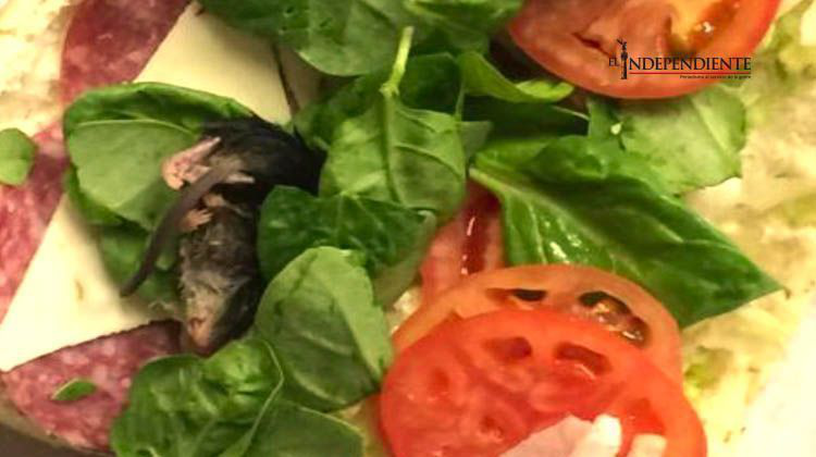 Rata húmeda y muerta aparece en un sándwich de espinacas con jitomate