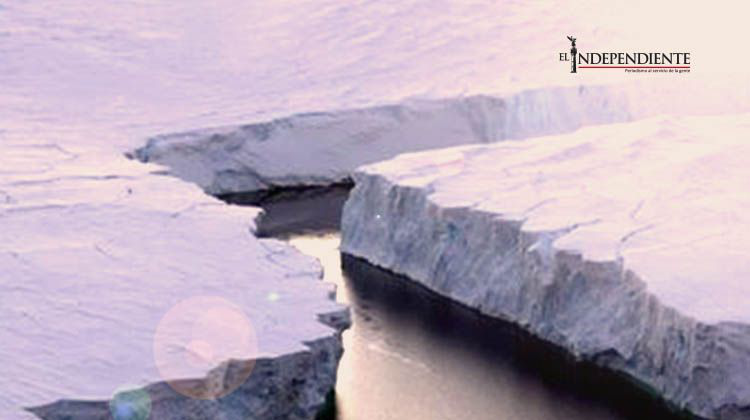 Cambio climático podría acabar con 85% de capa de hielo de la Antártida