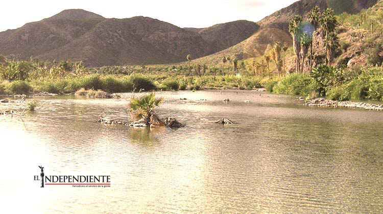 Revisa y ajusta la CONAGUA Plan Hídrico Estatal de BCS