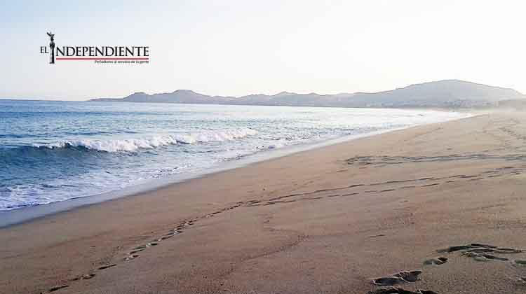 Desconoce ZOFEMAT que en Los Cabos existan playas cerradas