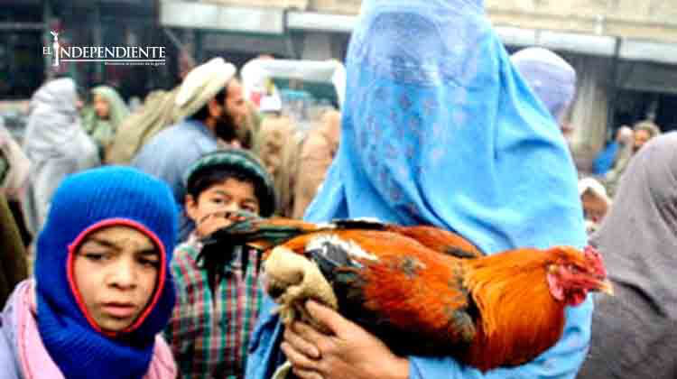 Aumenta el interés de mujeres por participar en terrorismo