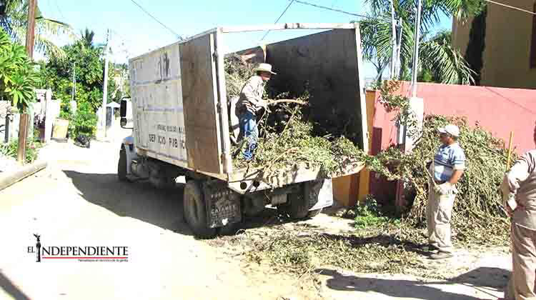 Realiza Servicios Públicos campaña de la limpieza de ramas en todo el municipio