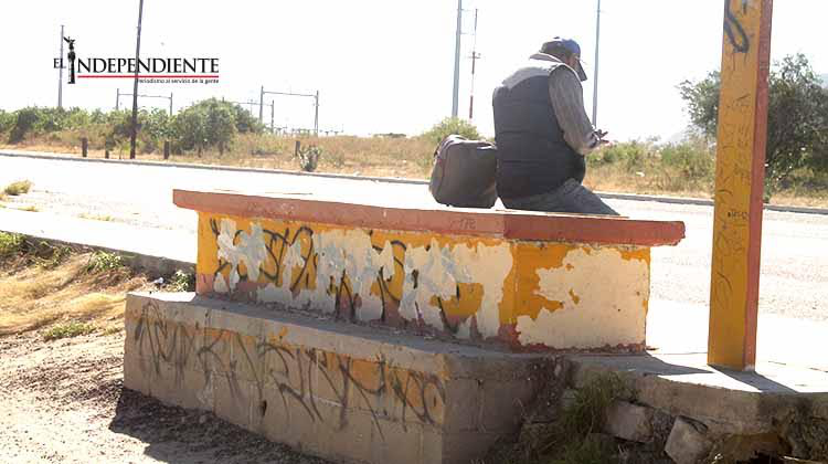 En malas condiciones paraderos del transporte público de SJC