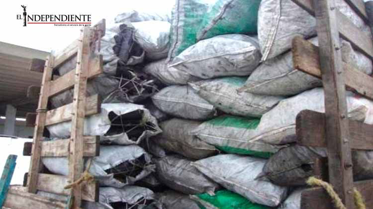 La Profepa asegura 4.5 toneladas de carbón vegetal en Tabasco
