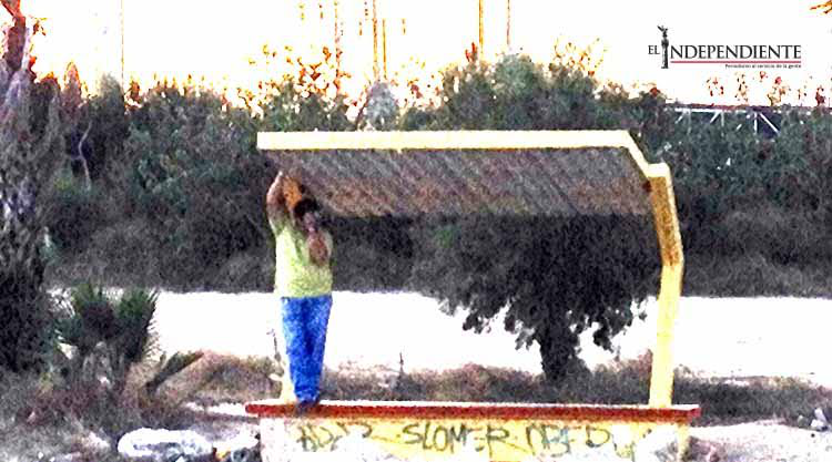 Por incumplimiento de Seguridad Municipal  cancelan rutas de transporte nocturnas