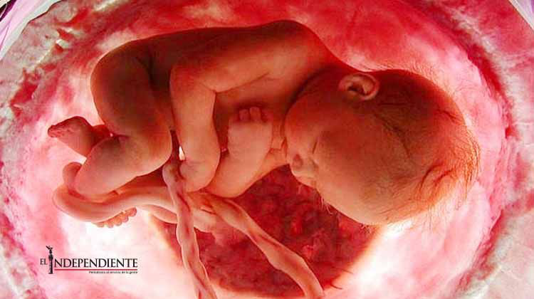 Apoyo al aborto legal, en su nivel más alto en dos años en EU