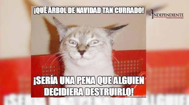 Llegó la Navidad y con ella los famosos MEMES