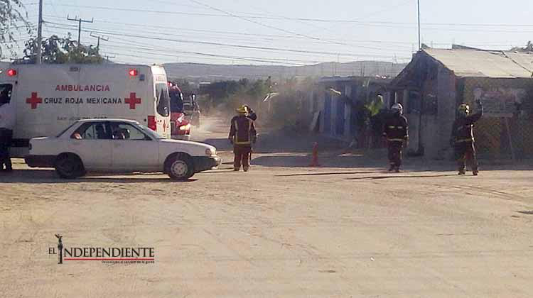Ataque de abejas en colonia de SJC deja 10 heridos
