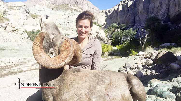 Foto de borrego cimarrón cazado en BCS causa indignación en redes sociales