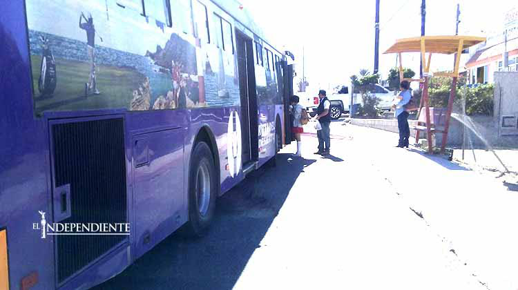 Aún falta mucho para mejorar el transporte público en Los Cabos: sondeo