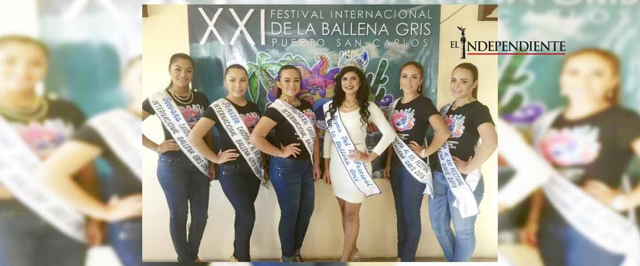 En marcha los preparativos para el Festival de la Ballena Gris en Puerto San Carlos