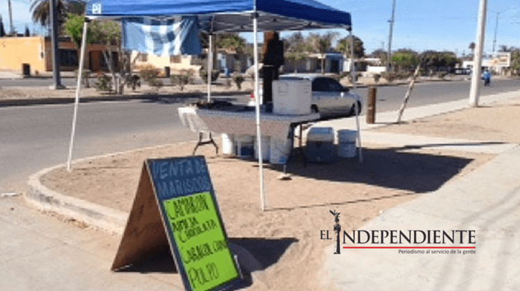 Evitará el FONMAR la venta de productos pesqueros de procedencia ilegal