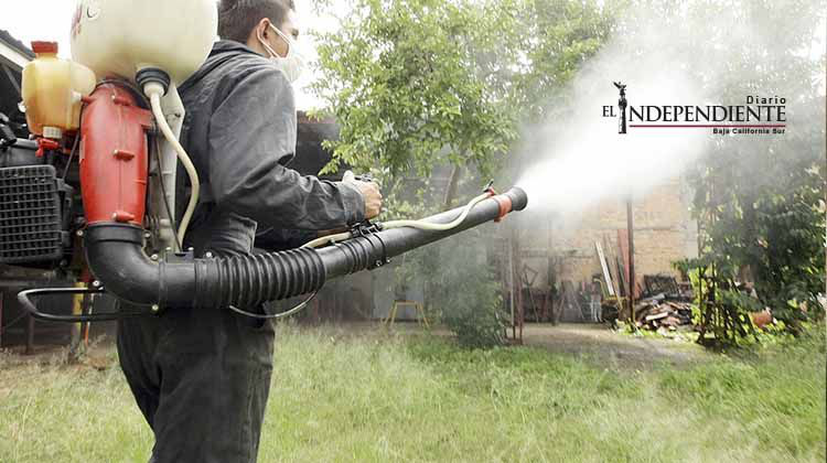 Alertan en EU de viajes a México por virus del zika