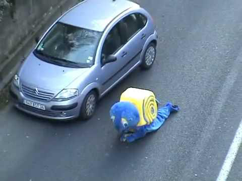 Cuando te encuentras un caracol en media carretera