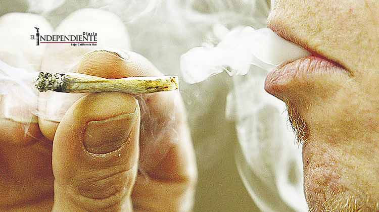Gobierno podría modificar portabilidad permitida de mariguana
