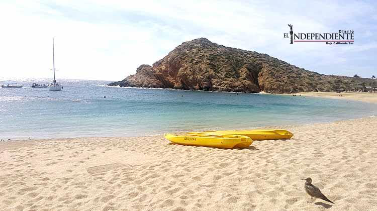 80% de las playas de Los Cabos se encuentran limpias y en óptimas condiciones: ZOFEMAT
