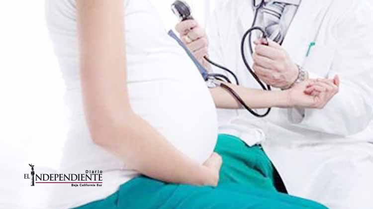 Embarazadas deben reportar posible riesgo de zika: SSa