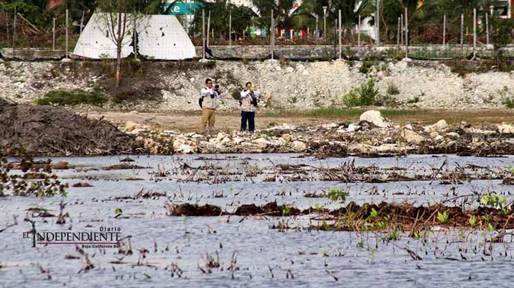 La Profepa da fecha límite a Fonatur por caso Tajamar