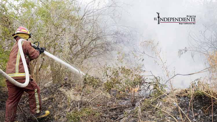Incendio de pastizal se sale de control y amenaza con alcanzar un domicilio