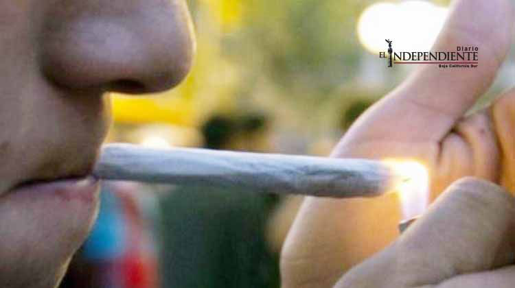 MORENA pide analizar mariguana con perspectiva del consumidor