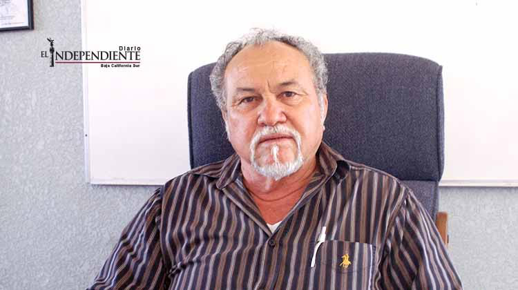 Incosteable la temporada de camarón de este 2016