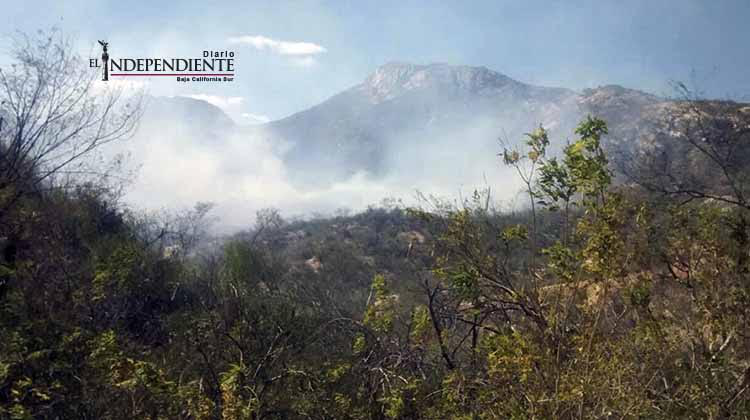 Más de 18 horas para sofocar incendio en San Felipe; fuego arrasó con al menos 20 hectáreas