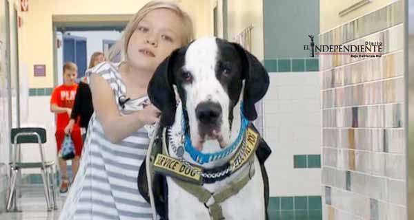 George, el tierno perro que ayuda a una niña a caminar