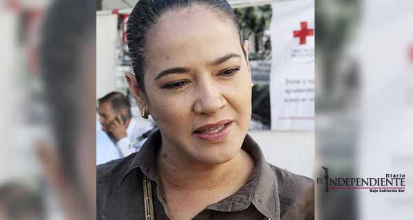 DIF no tiene la facultad para retirar a niños que trabajan en el comercio informal: Directora