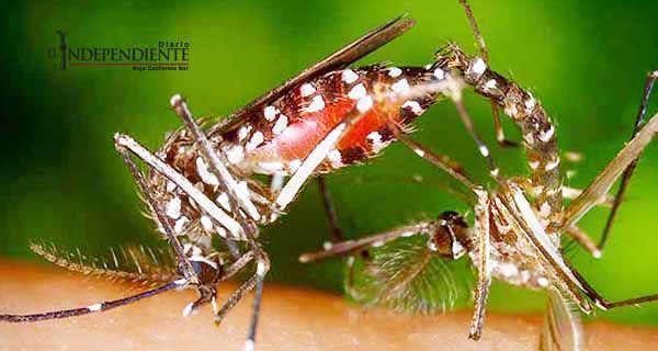 Corea del Sur reporta el primer caso de zika