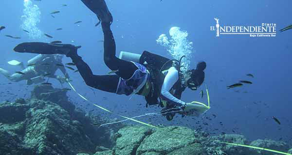 Investigador de la UABCS colaborará en proyecto de National Geographic
