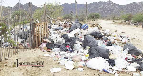 Se han reducido en un 60% las quejas por el servicio de recolección de basura, asegura director de Servicios Públicos