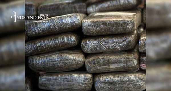 Rayos X detectan una tonelada de mariguana en puerto fronterizo