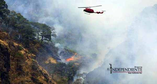Reportan que fuego afectó 20 por ciento de Parque del Tepozteco