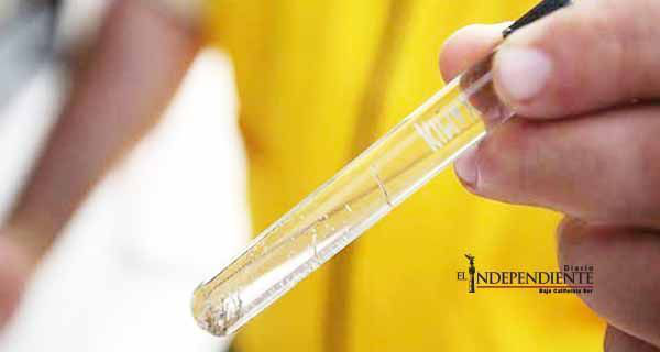 Secretaría de Salud pide no caer en pánico ante zika