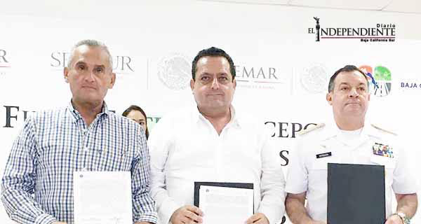 Fonatur continúa con acciones para reconstruir las zonas turísticas y urbanas en BCS