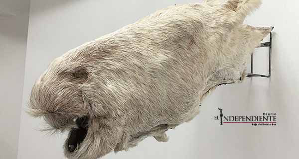 Lo poético va hacia lo social en la exposición 'Gravedad'