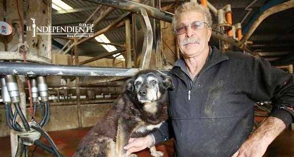 Muere el perro más viejo del mundo a los 30 años