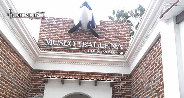 Pese a inconvenientes, La Paz tendrá el Museo de la ballena más importante de américa latina