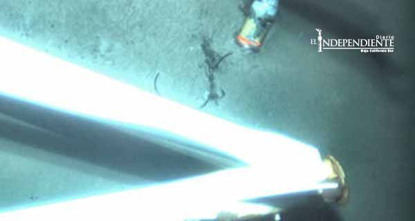 EU halla 'caja negra' de buque desaparecido en Bahamas