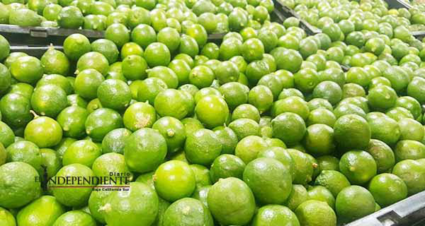 Productores prevén que el precio del limón baje en las próximas semanas