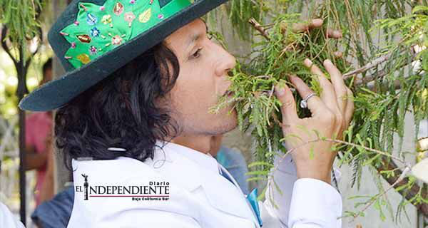 Ecologista 'se casa' con milenario árbol del Tule