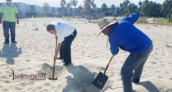 Gobierno Municipal instala cerco protector para recibir al Gallito Marino en el estero SJC