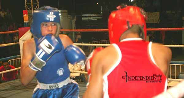 Realizará IMD función de box para detectar nuevos valores