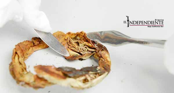 Hallan joyas de oro ocultas en taza en Auschwitz