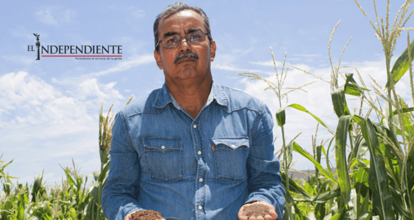 Estudiantes de la UABCS construyen nuevo lombricario en el campus