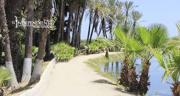 Resolver situación legal del estero, primer paso de la Comisión Edilicia Especial