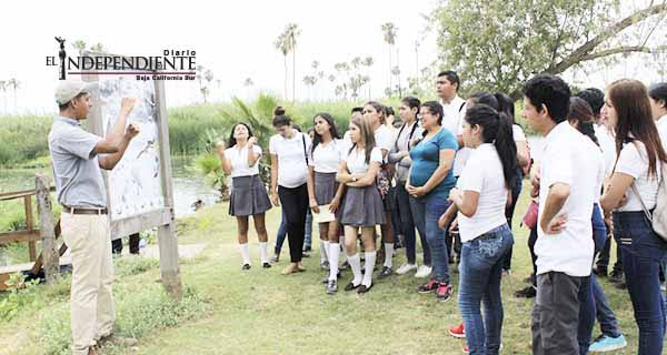 Gobierno de Los Cabos promueve visitas guiadas al Estero Josefino