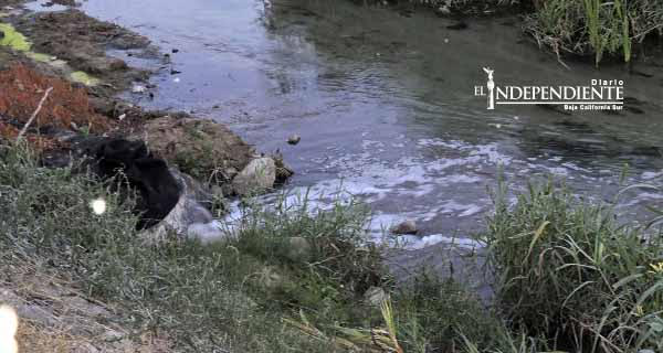 El estero josefino es la fosa séptica del pueblo, advierte Patronato Añuití Estero San José