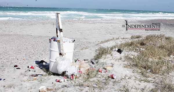 Trabaja el Ayuntamiento en la mejora y limpieza de las playas de La Paz