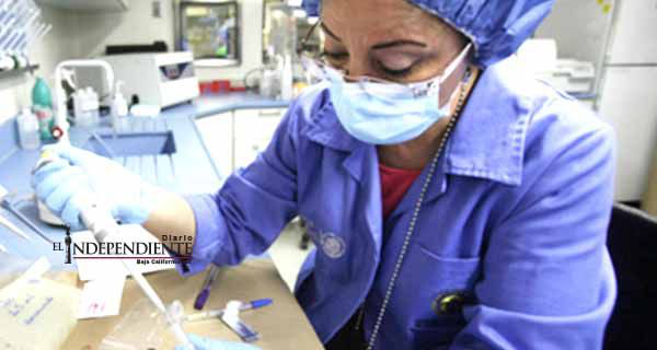 Descubren primer gen asociado al origen de la esclerosis múltiple